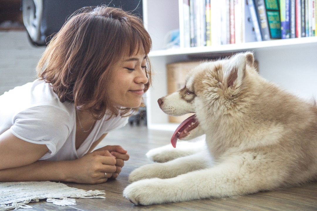 他に夢中なものができたから