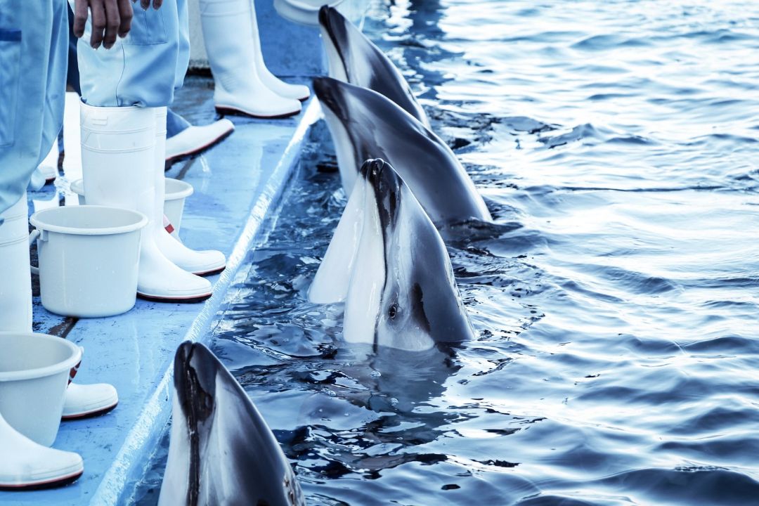 水族館