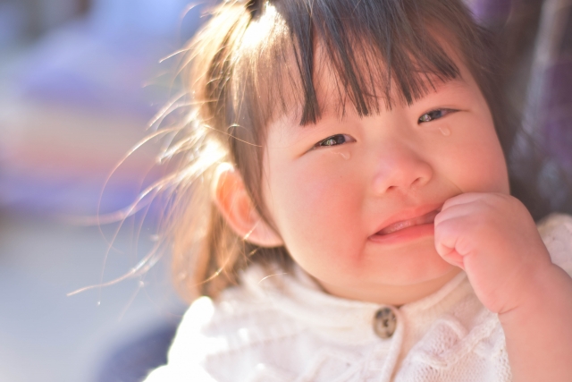 1 歳 わがまま