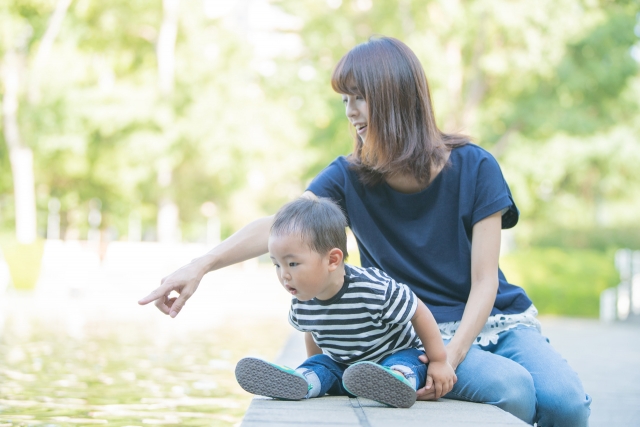 2 歳 言う こと 聞か ない