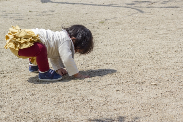 たくさん遊ばせて体力を削る