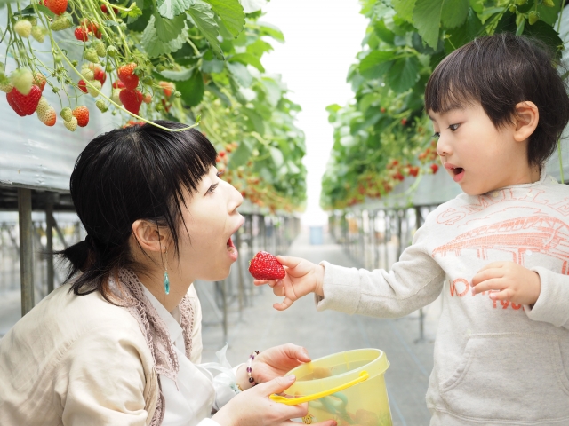 一緒にできる活動を楽しむ